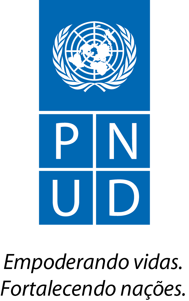 Programa das Nações Unidas para o Desenvolvimento