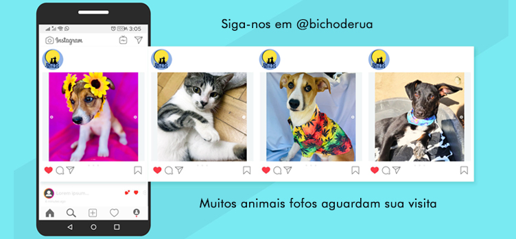 Instagram Bicho de Rua