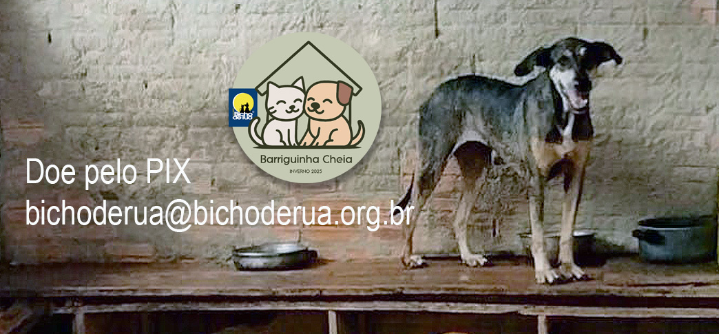 Barriguinha Cheia do Bicho de Rua