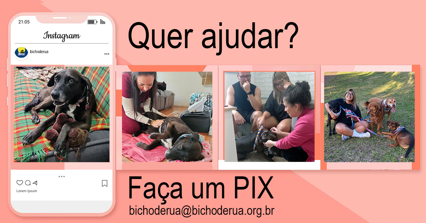 Bicho de Rua