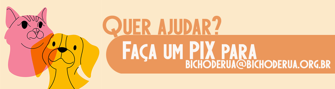 Bicho de Rua
